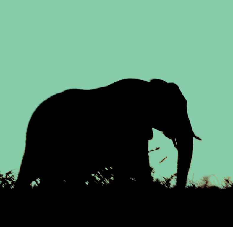 Elephant Addressing the green energy elephant